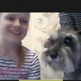 Students invited their pets to English class and told interesting stories about them