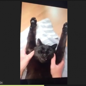 Students invited their pets to English class and told interesting stories about them