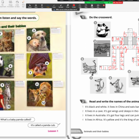Students invited their pets to English class and told interesting stories about them
