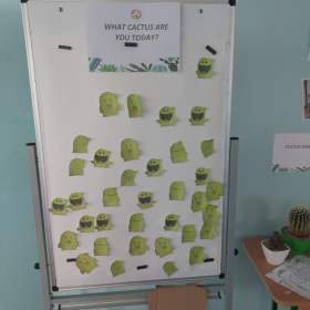 Mood board "What cactus are you today?"