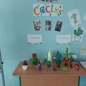 Cactus paradise