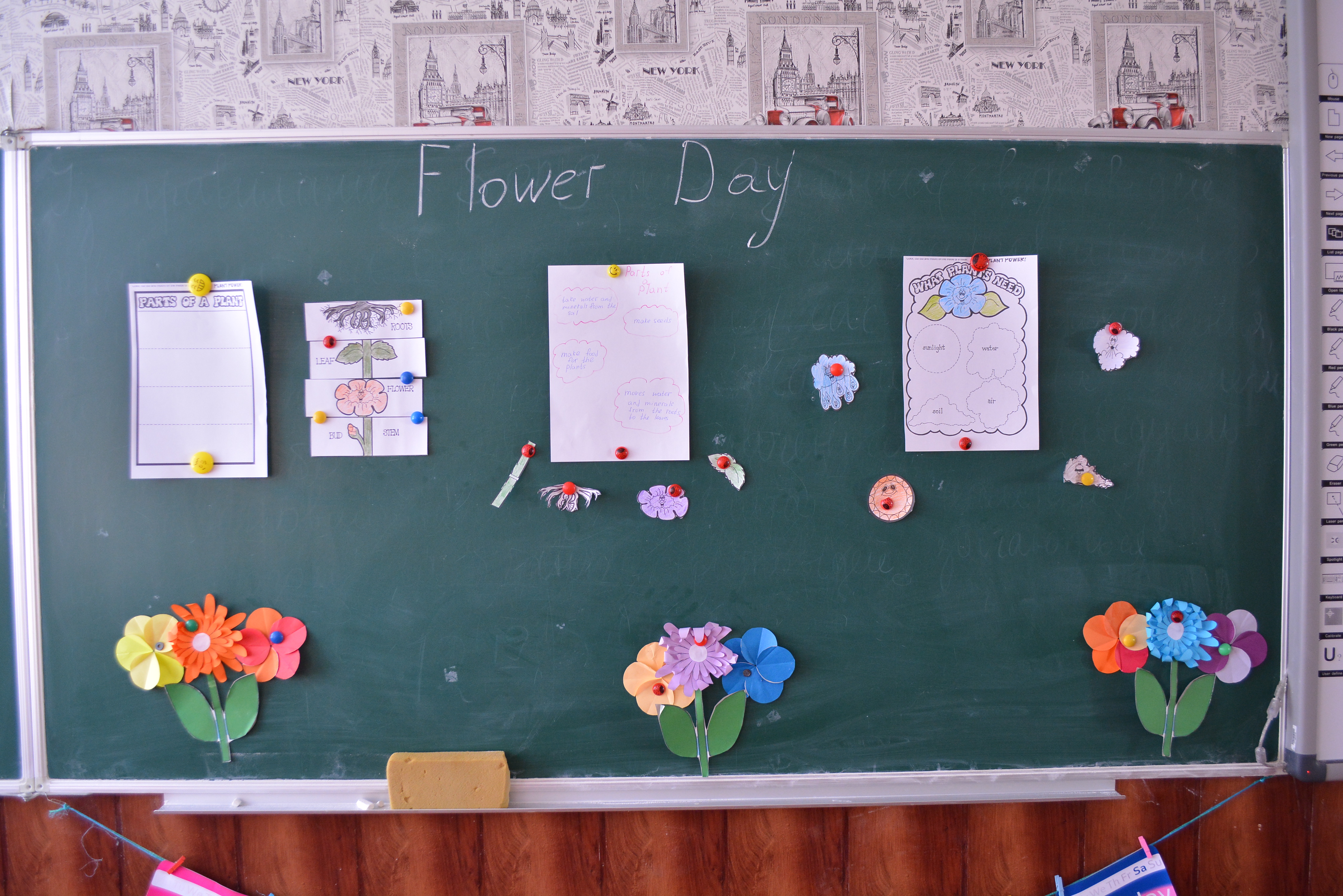 We are ready for the Flower day