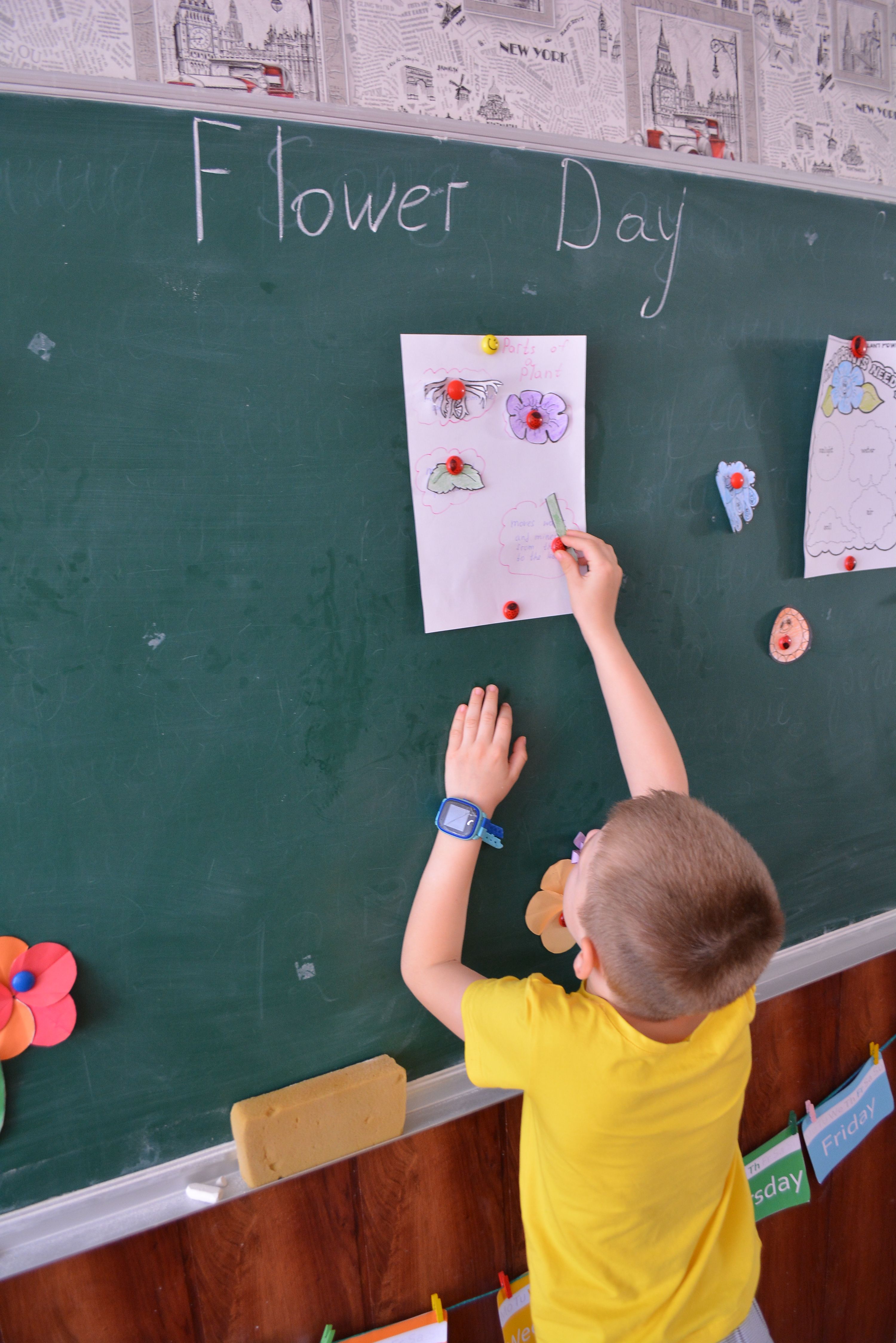 Learning part og a plant.