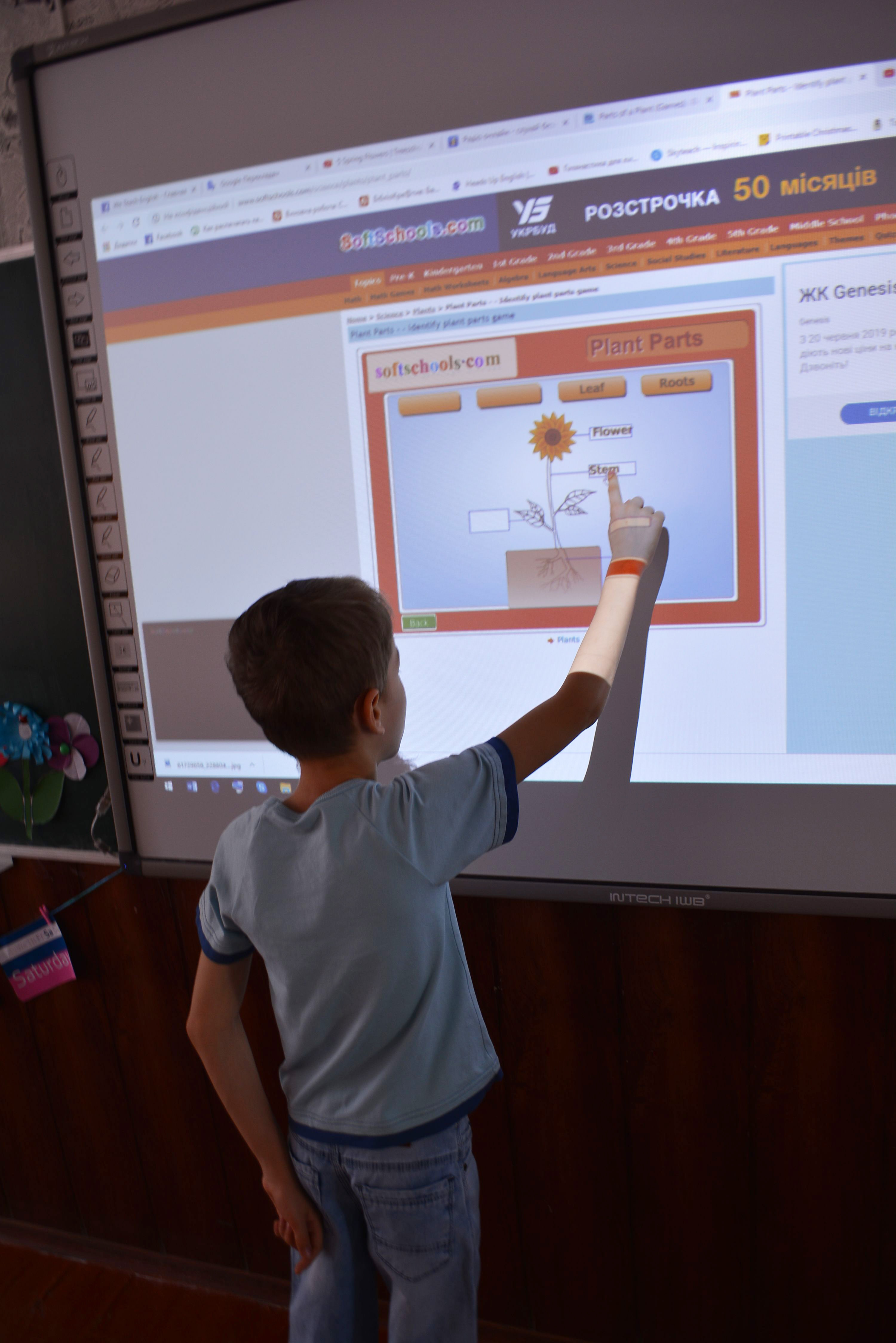 Learning part og a plant. Online game.