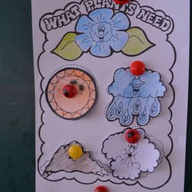 Flower day-18