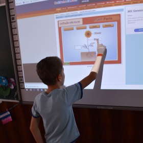Learning part og a plant. Online game.