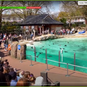 Virtual Excursion to London Zoo