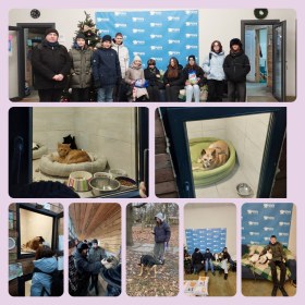 Проєкт "ДоброДій" - допомога Патрон Центру.
